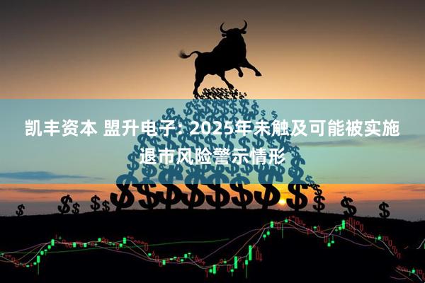 凯丰资本 盟升电子: 2025年未触及可能被实施退市风险警示情形